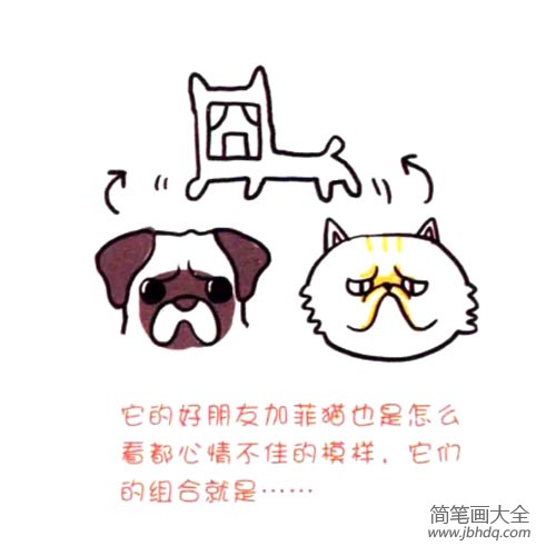 四步画出可爱简笔画 怎么看都心情不佳的八哥犬