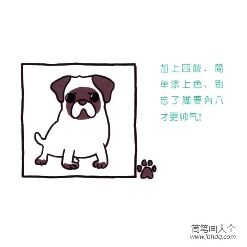 四步画出可爱简笔画 怎么看都心情不佳的八哥犬