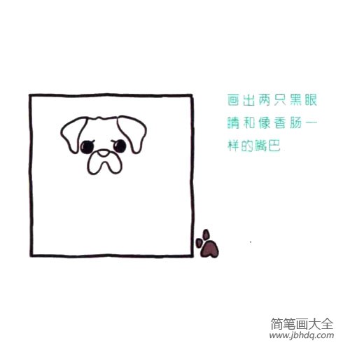 四步画出可爱简笔画 怎么看都心情不佳的八哥犬