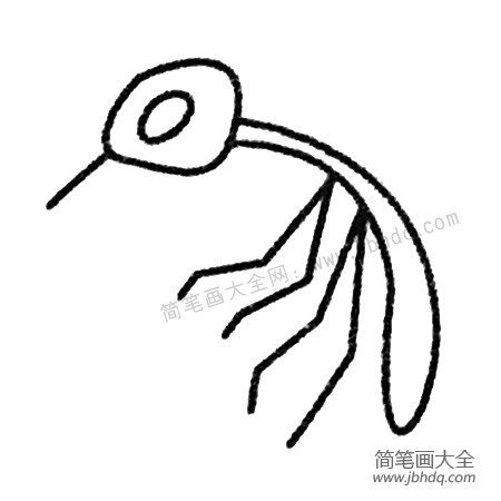 蚊子简笔画图片大全及画法步骤