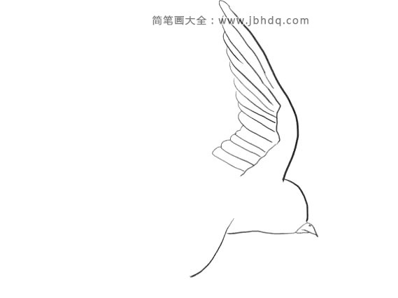 2、然后画出燕子的头部轮廓。