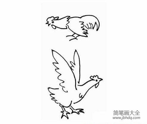 鸡的简笔画大全