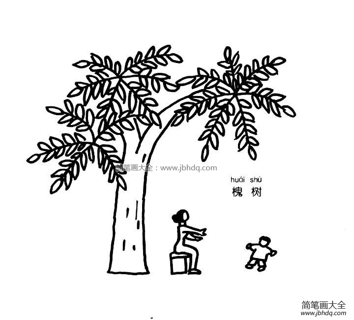 槐树简笔画图片