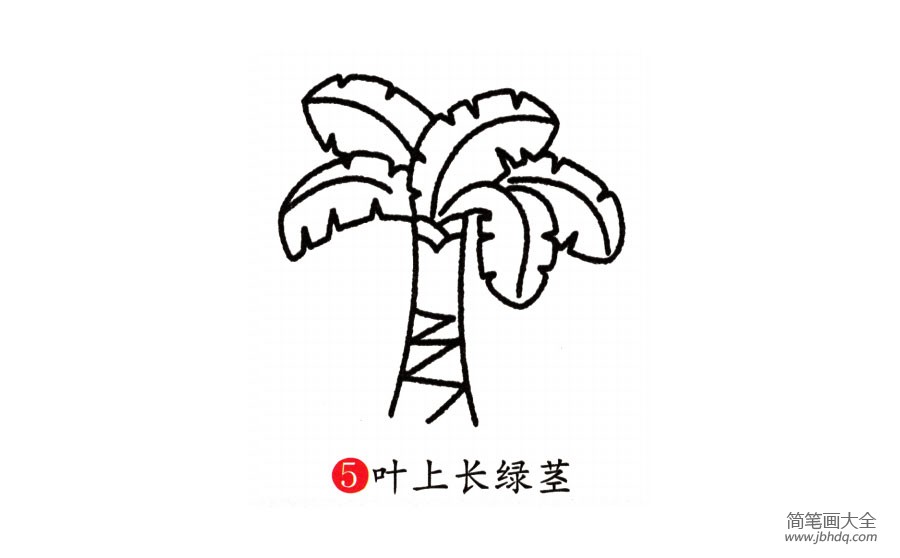 学画芭蕉树