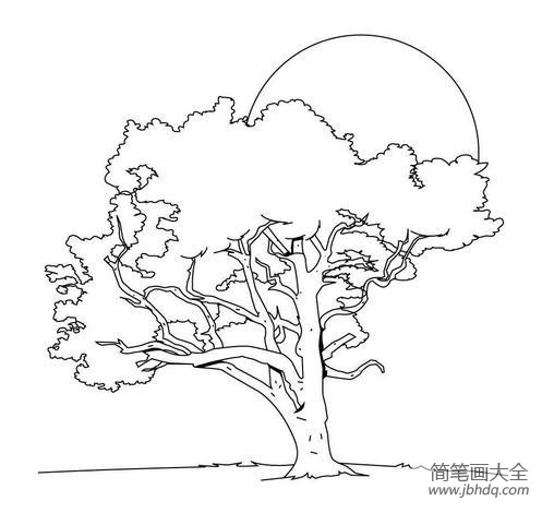 幼儿简笔画 大树简笔画图片