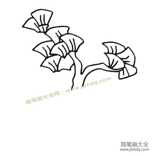 3.然后画另一边的树叶