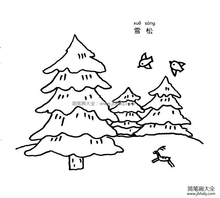 雪松简笔画图片