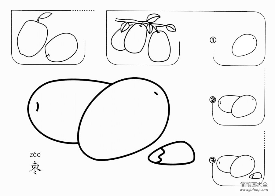 枣怎么画