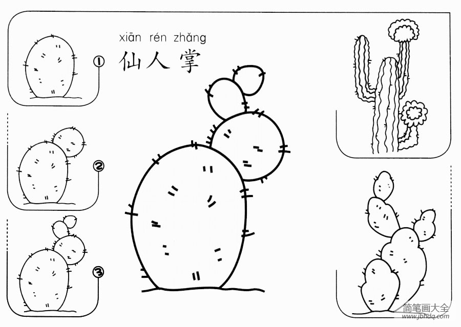 简单的仙人掌怎么画