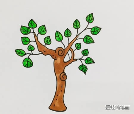 桑树简笔画