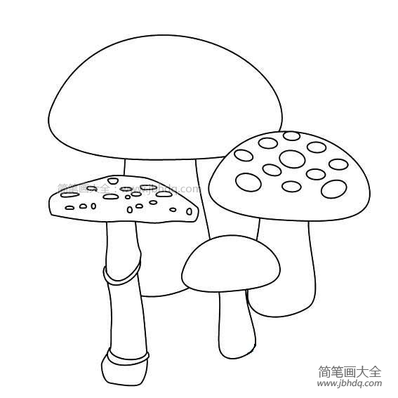 蘑菇简笔画图片