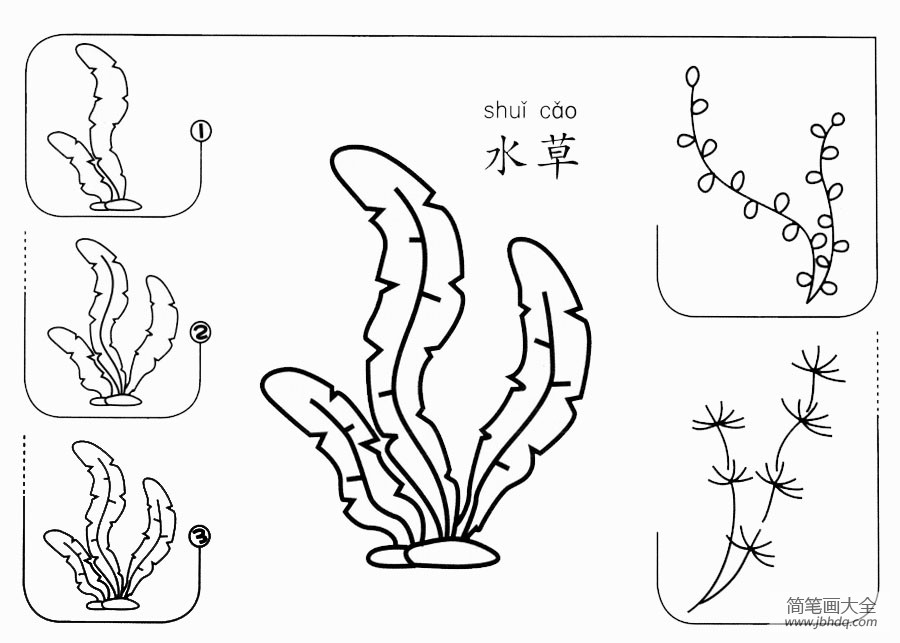 水草怎么画