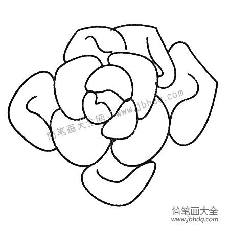 多肉植物简笔画图片大全