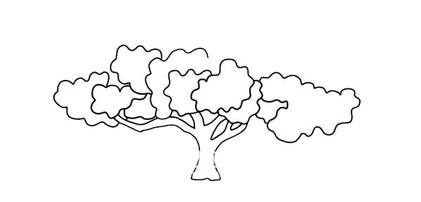 茂盛大树简笔画