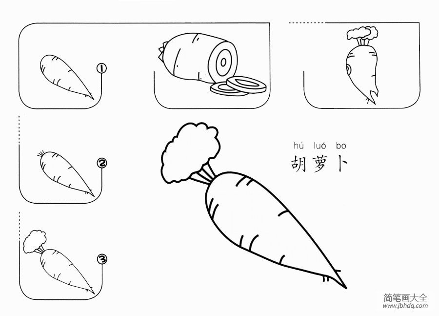 胡萝卜的画法步骤