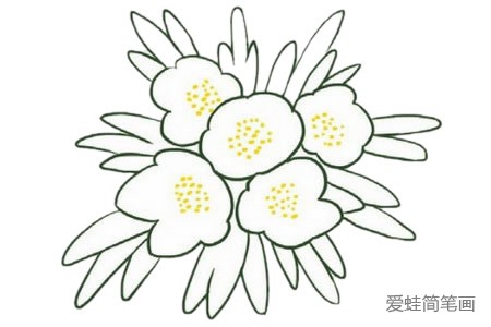 银莲花简笔画