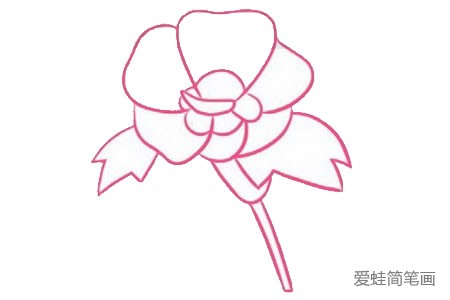 木槿花简笔画