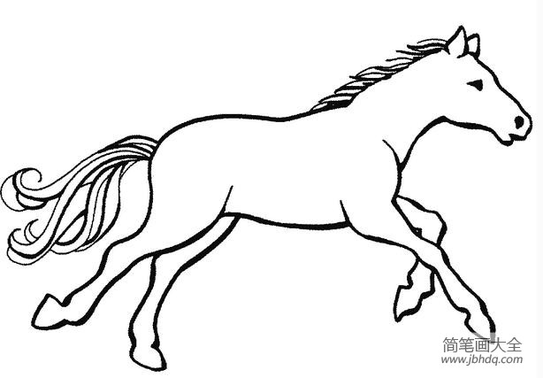 马的简笔素描图片 马的简笔图片