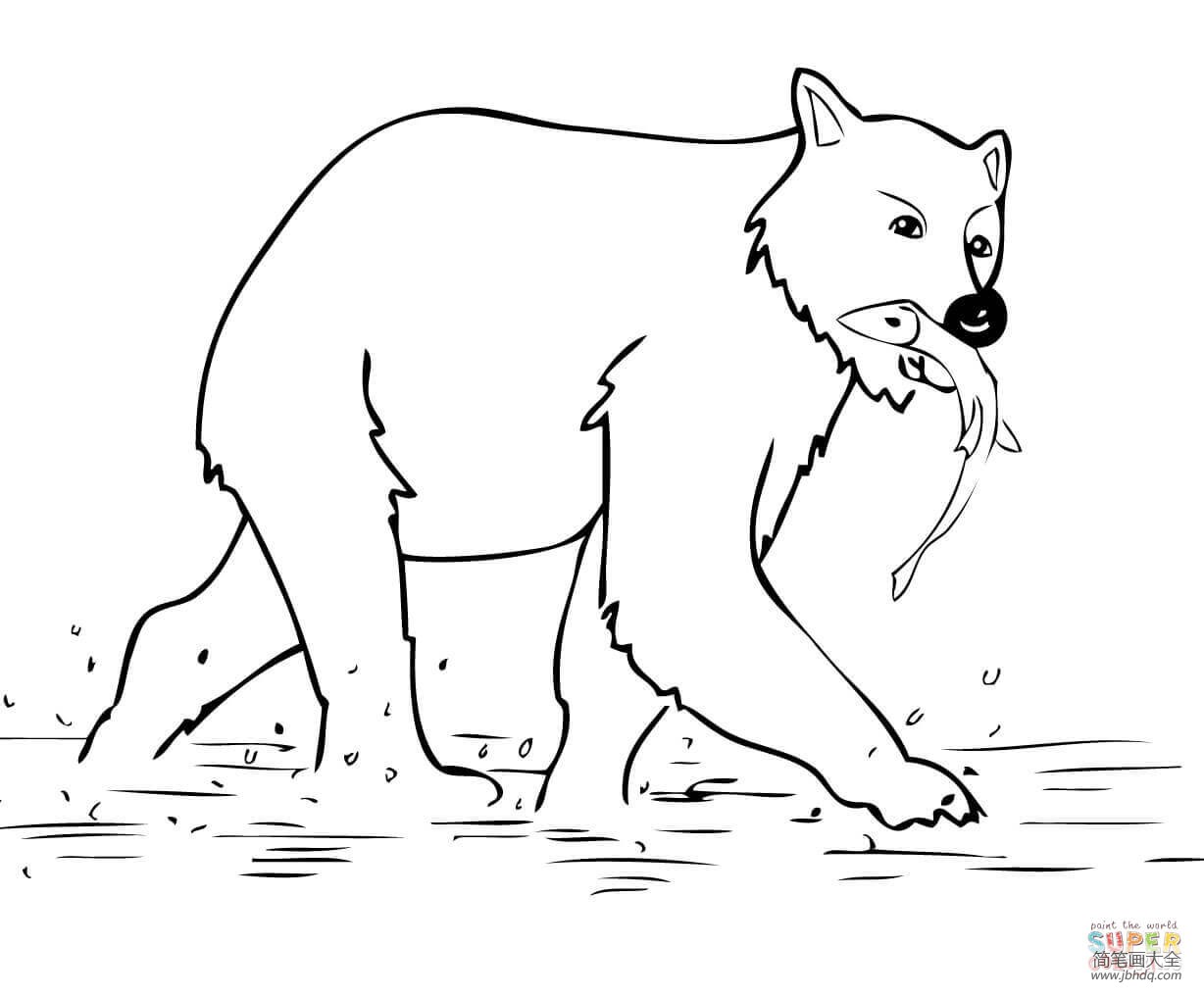 棕熊吃鱼