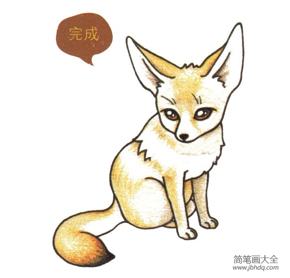 简单的动物简笔画 沙漠狐狸