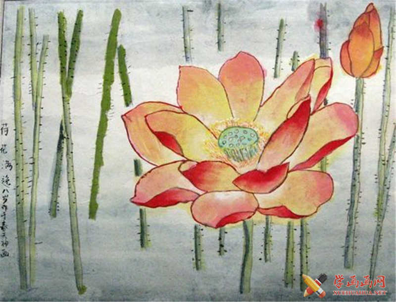 荷花中国画作品(1)