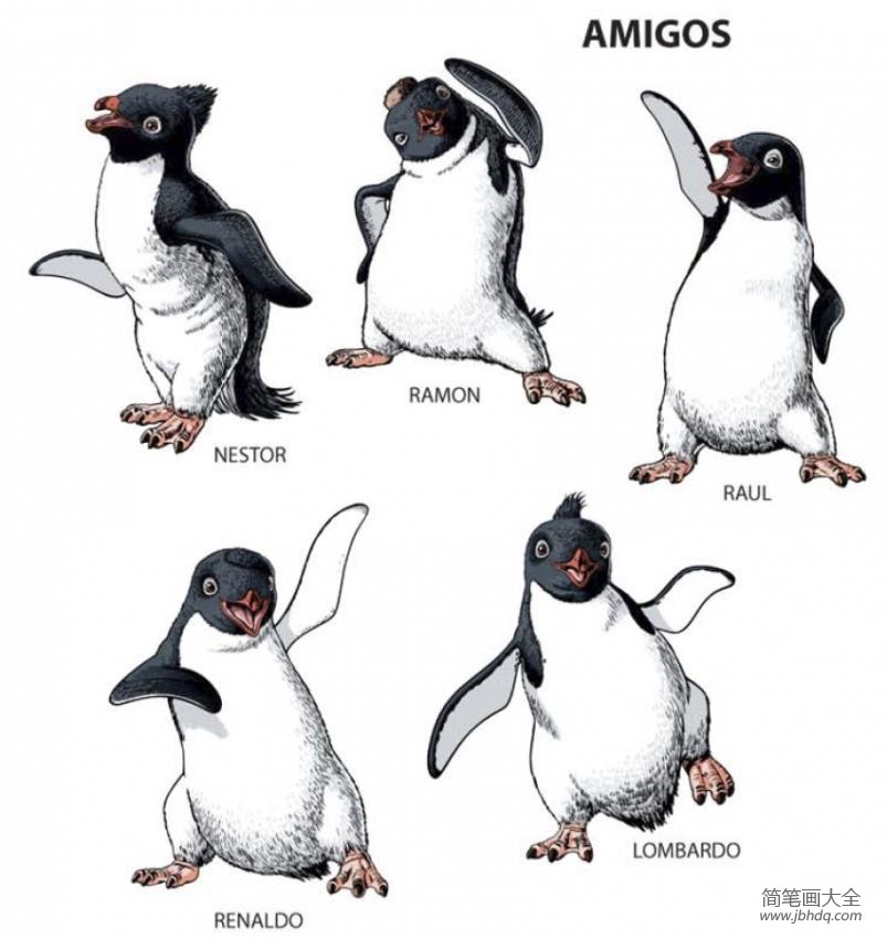 企鹅简笔画 快乐的大脚简笔画图片