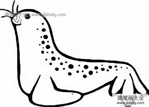 海豹简笔画图片