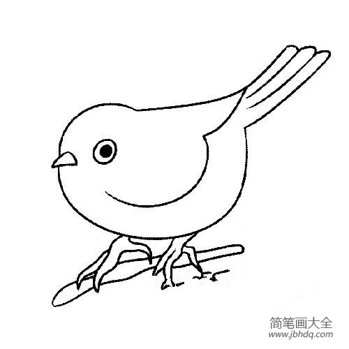 小鸟简笔画图片学习