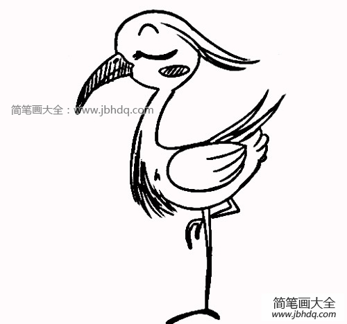 白鹭简笔画图片