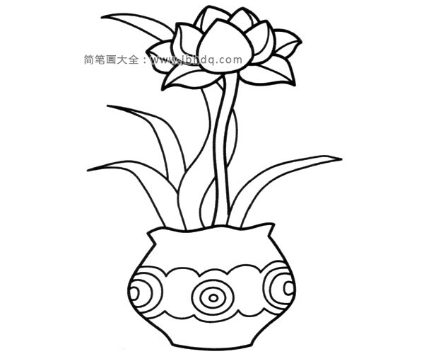 盆栽花朵简笔画图片2