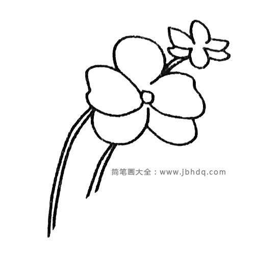 3.画上花杆，注意遮挡关系。