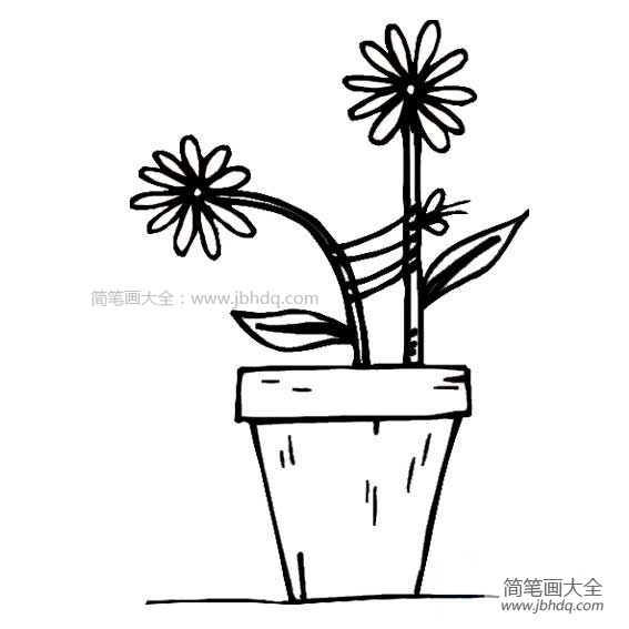 盆里的小花简笔画