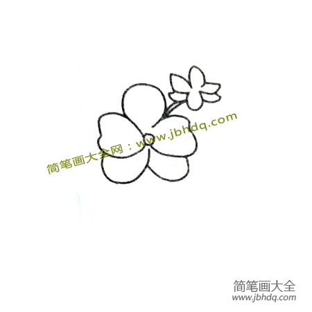 第2步：再给花朵加上花蕊