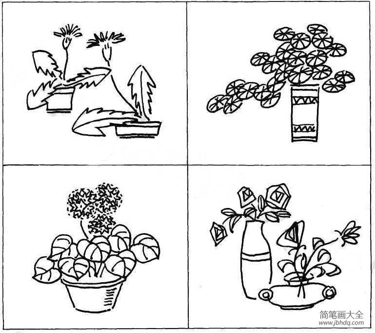 漂亮的植物盆景简笔画