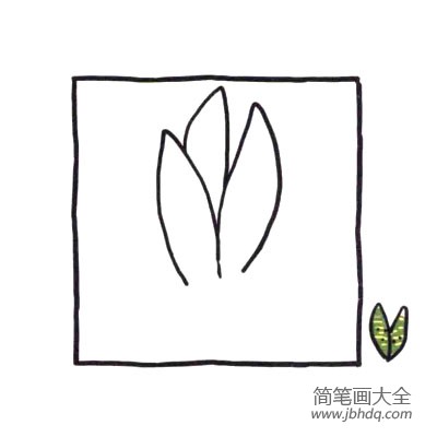 四步画出可爱简笔画 健壮的虎皮兰