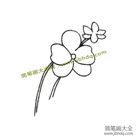 第3步：然后给兰花加上茎