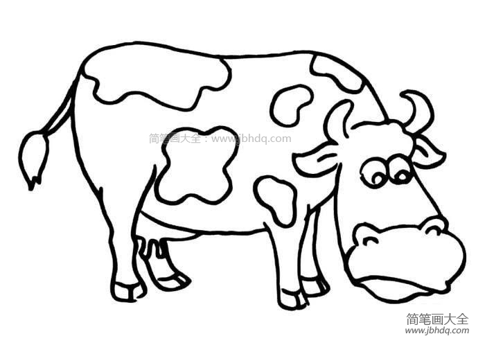 吃草的奶牛简笔画