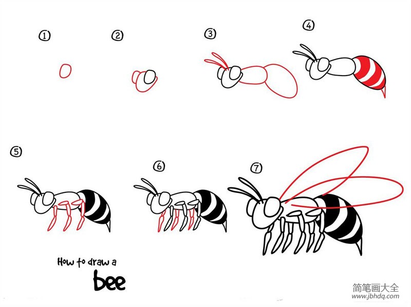 如何画蜜蜂 蜜蜂简笔画教程