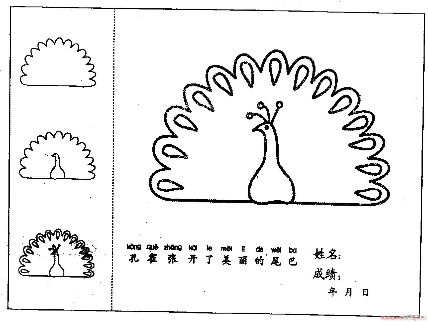 孔雀简笔画