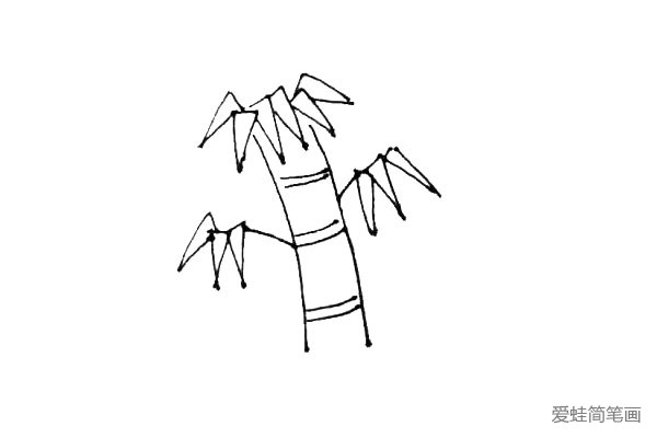 第四步：在竹子中间画上几条弧线作为竹子的结构，两条之间间隔得开一些。