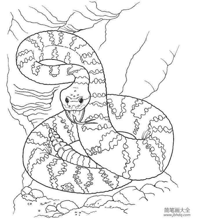 关于蛇的简笔画图片