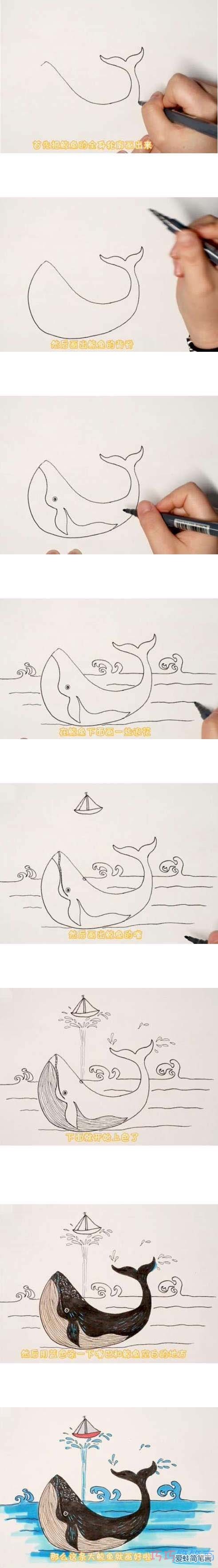 教你怎么画喷水鲸鱼简笔画