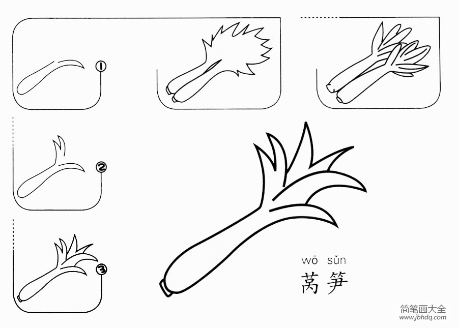 莴笋怎么画