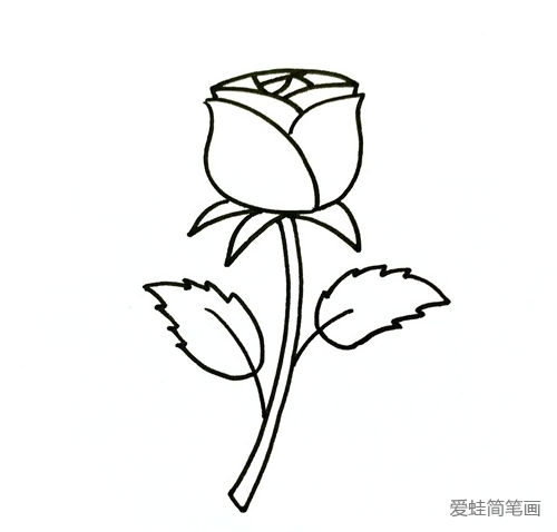 玫瑰花简笔画