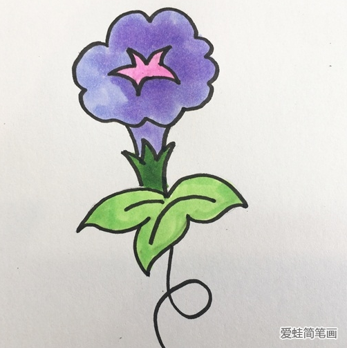 牵牛花简笔画