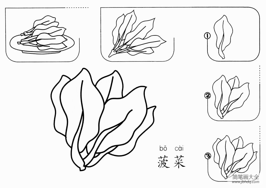 菠菜怎么画