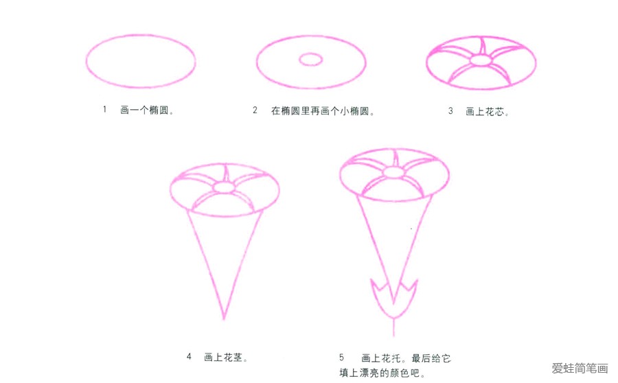 牵牛花简笔画