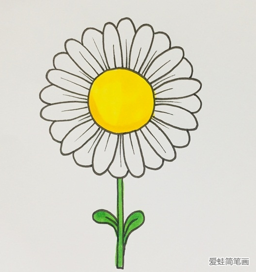 雏菊简笔画