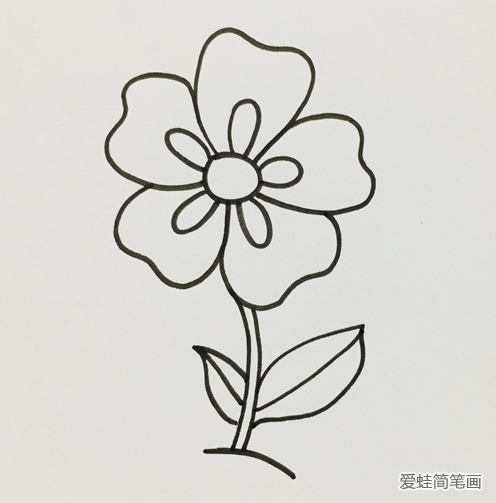 五瓣花简笔画