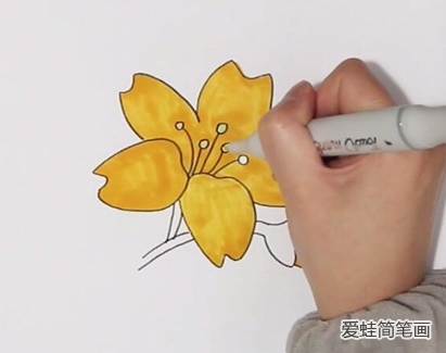 迎春花简笔画